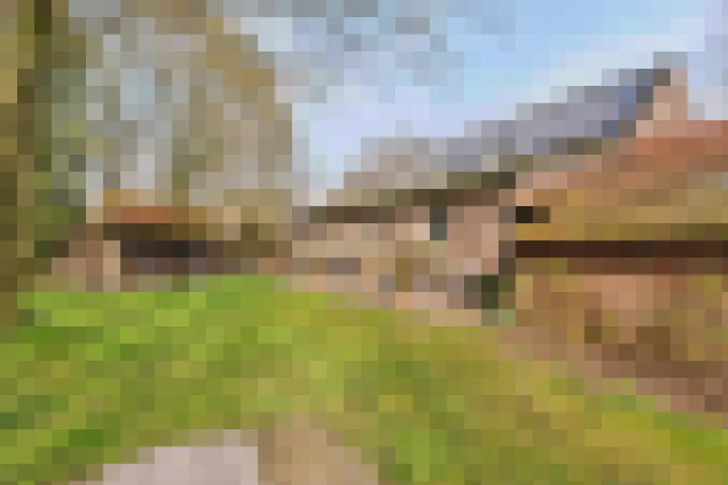 Heldensedijk 22 Meijel thumbnail 27