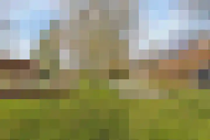 Heldensedijk 22 Meijel thumbnail 28