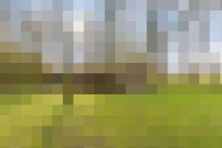 Heldensedijk 22 Meijel thumbnail 29