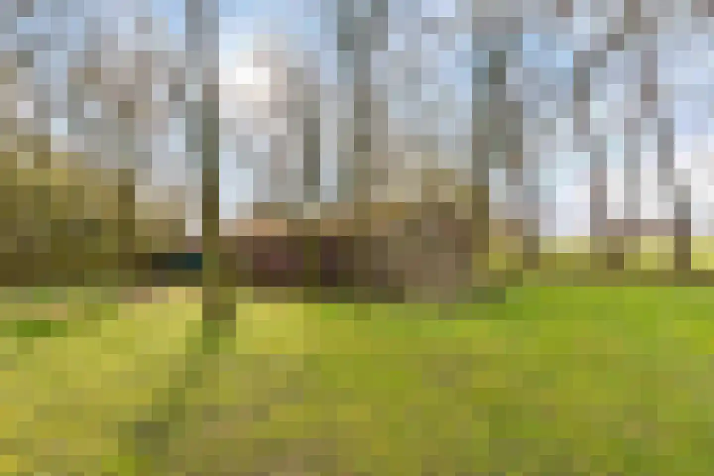Heldensedijk 22 Meijel thumbnail 29