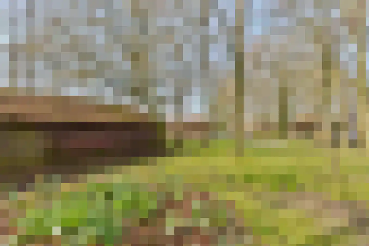 Heldensedijk 22 Meijel thumbnail 30
