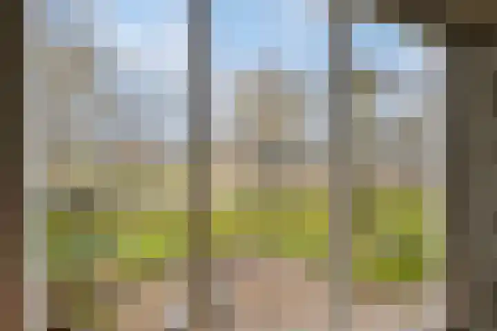 Heldensedijk 22 Meijel thumbnail 35