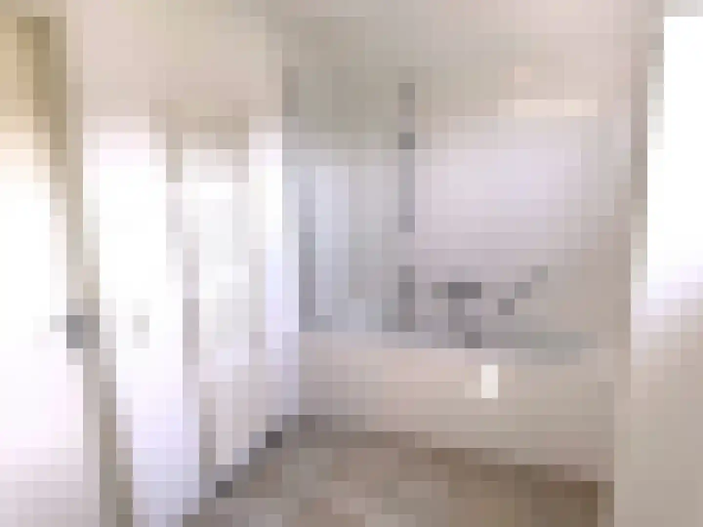 Heldensedijk 5 B116 Roggel thumbnail 19