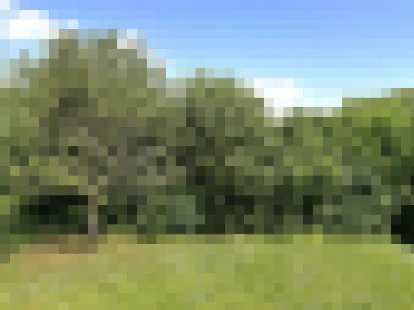Heldensedijk 5 B116 Roggel thumbnail 4