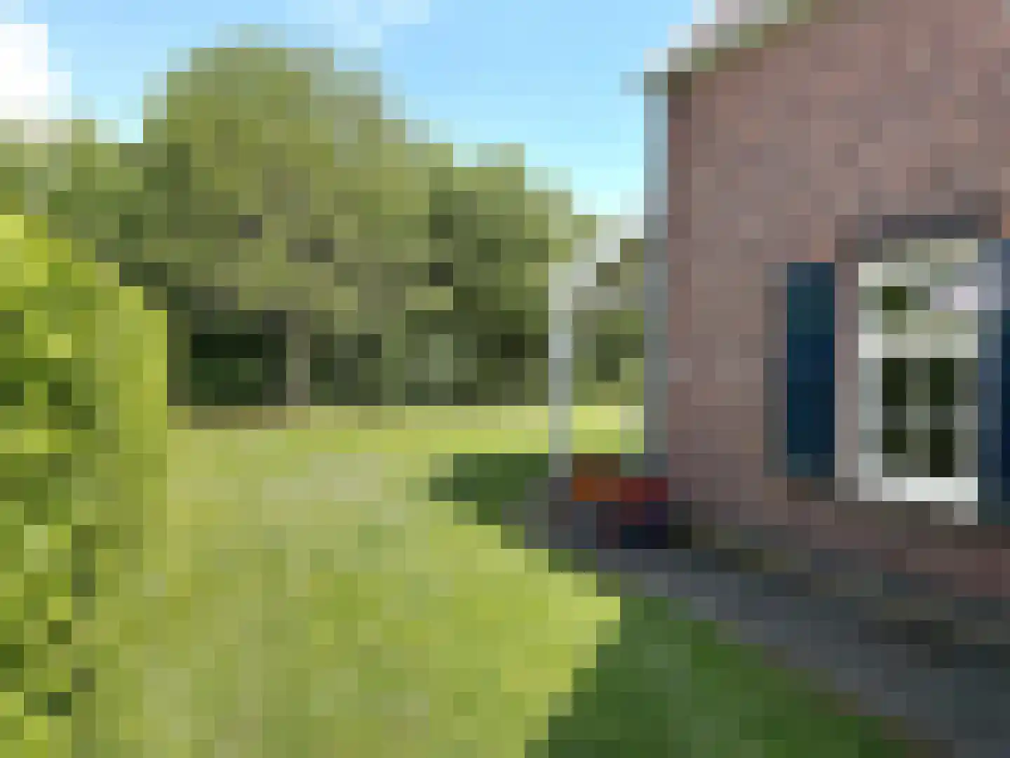 Heldensedijk 5 B116 Roggel thumbnail 6