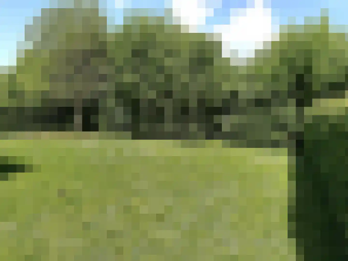 Heldensedijk 5 B116 Roggel thumbnail 7