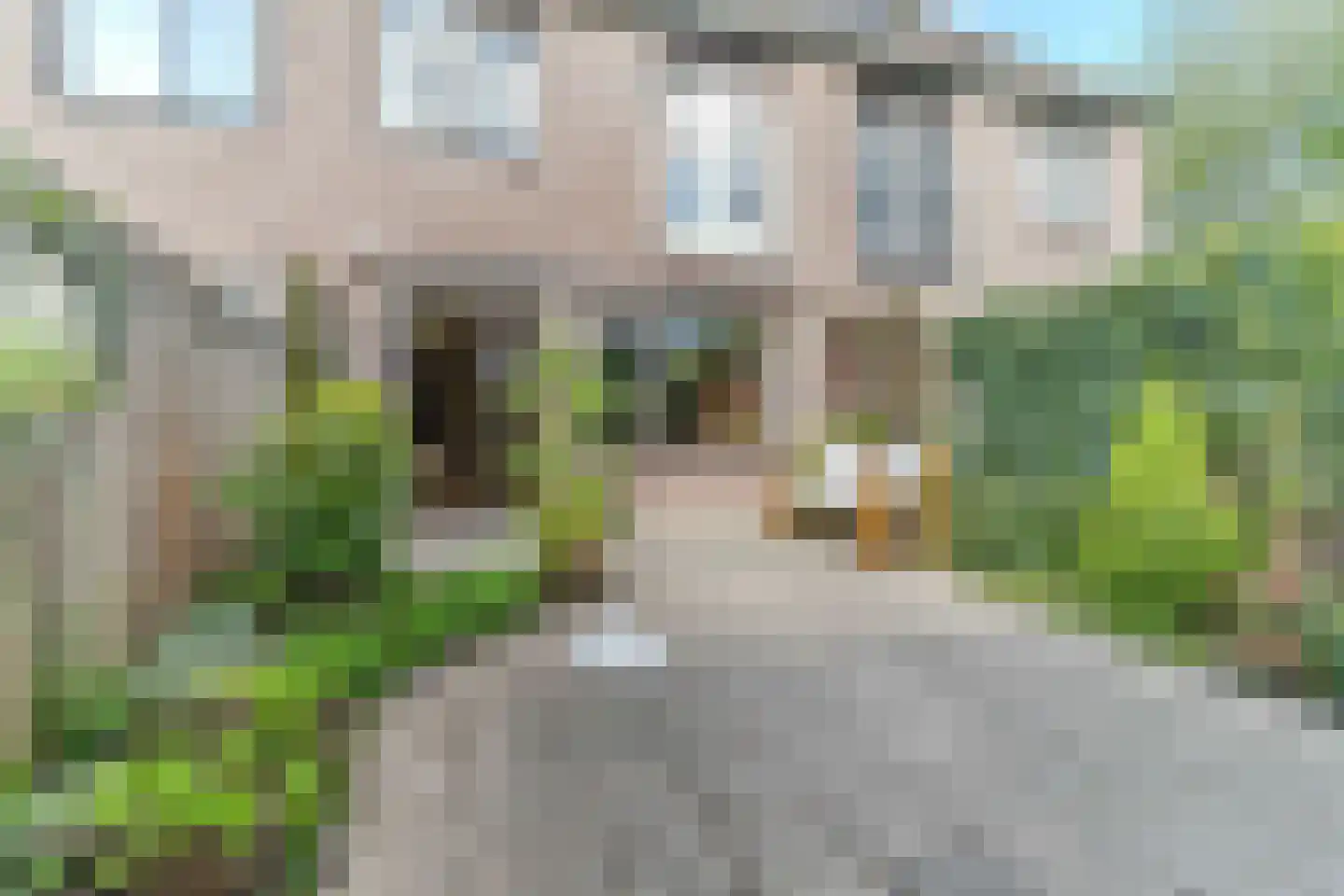 Hélder Câmarastraat 27 Delft thumbnail 20