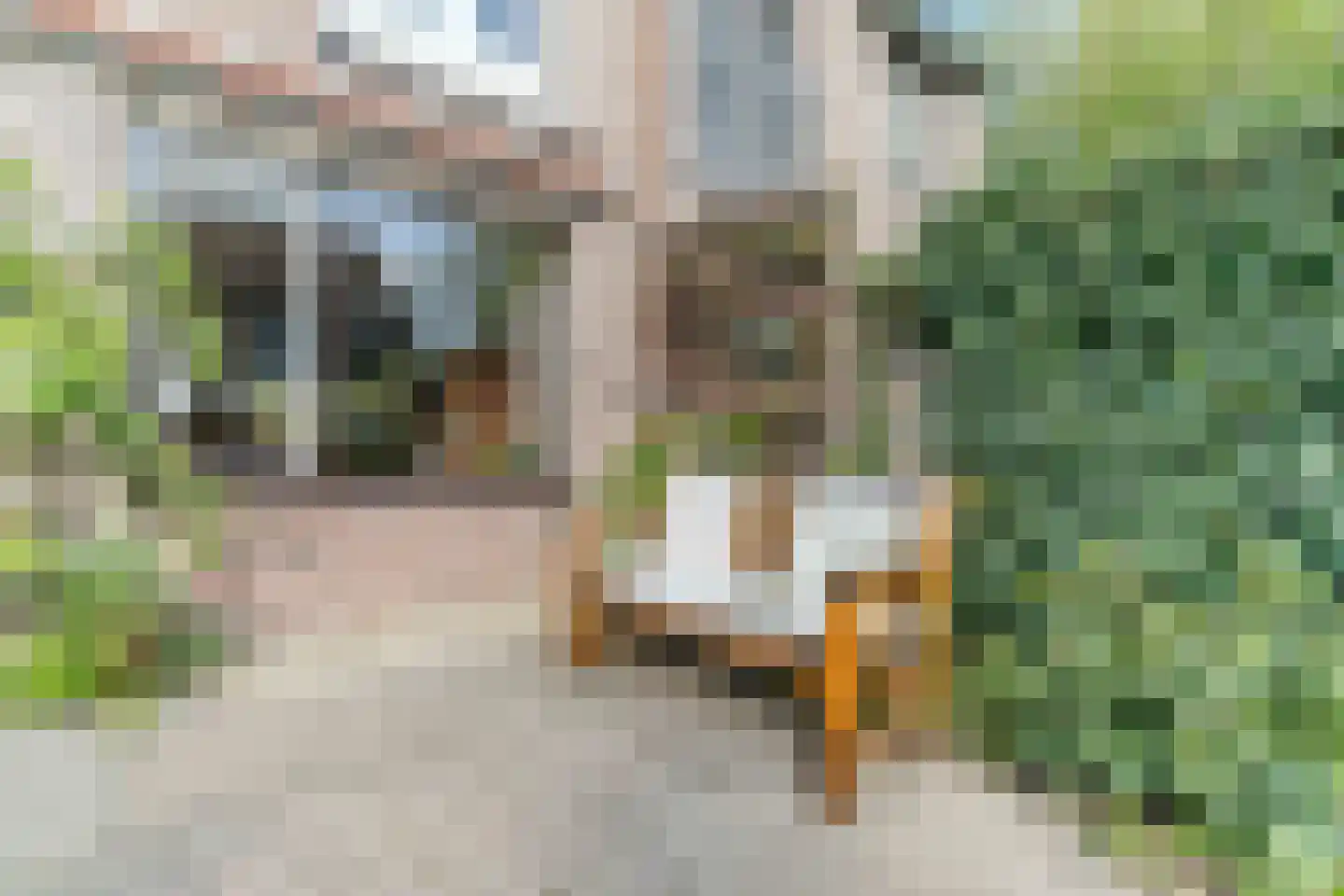 Hélder Câmarastraat 27 Delft thumbnail 21