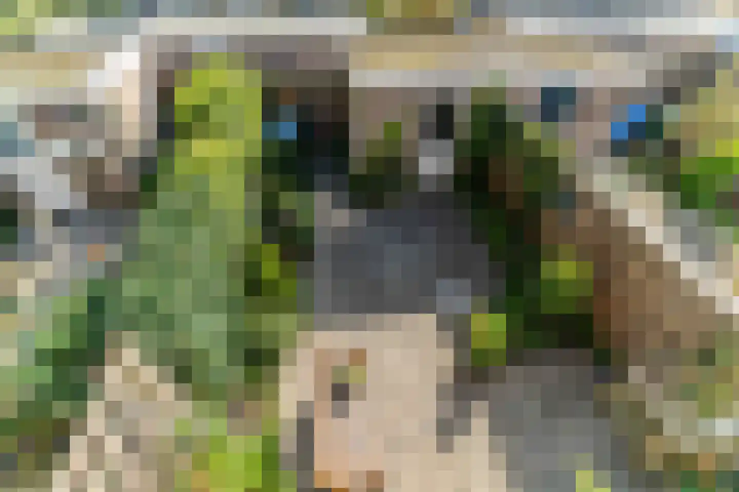 Hélder Câmarastraat 27 Delft thumbnail 39