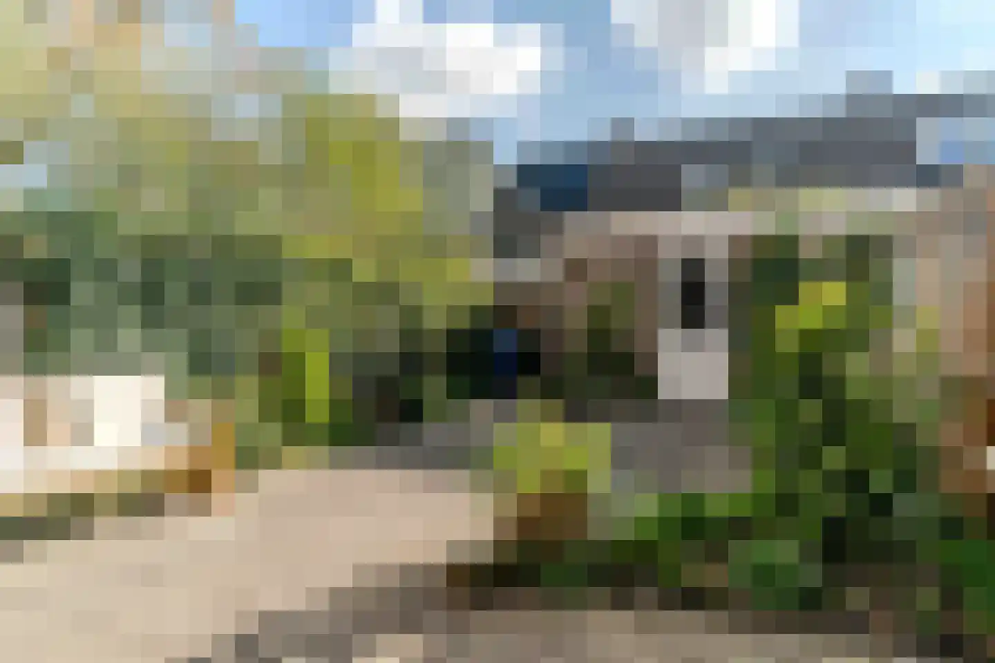 Hélder Câmarastraat 27 Delft thumbnail 5