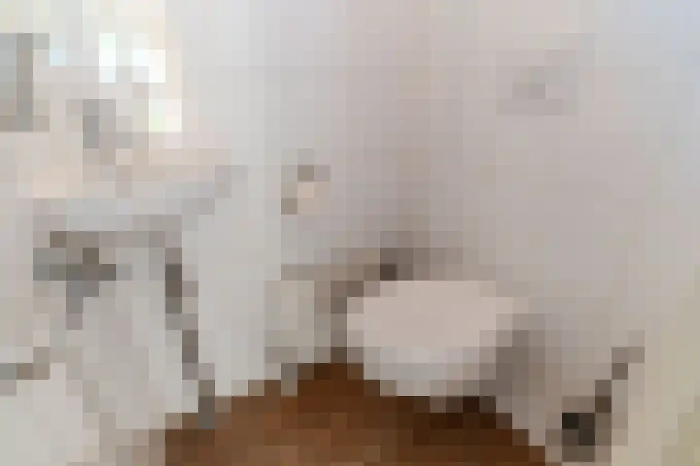 Hélder Câmarastraat 27 Delft thumbnail 8