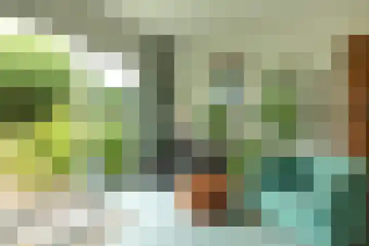 Helderoord 1 Kortenhoef thumbnail 11