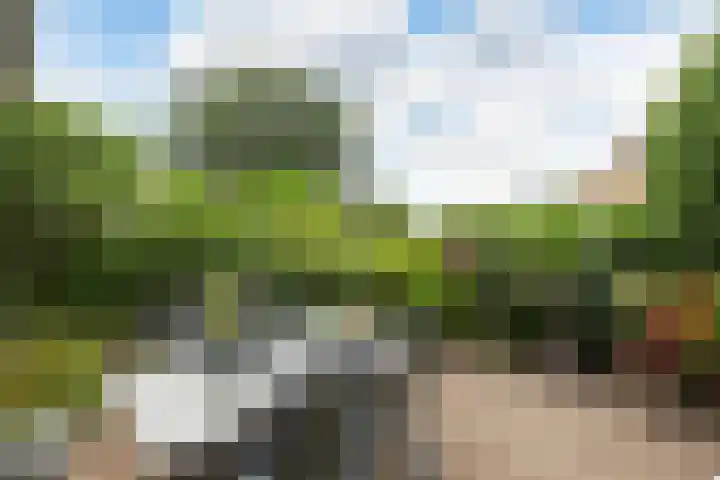 Helderoord 1 Kortenhoef thumbnail 28