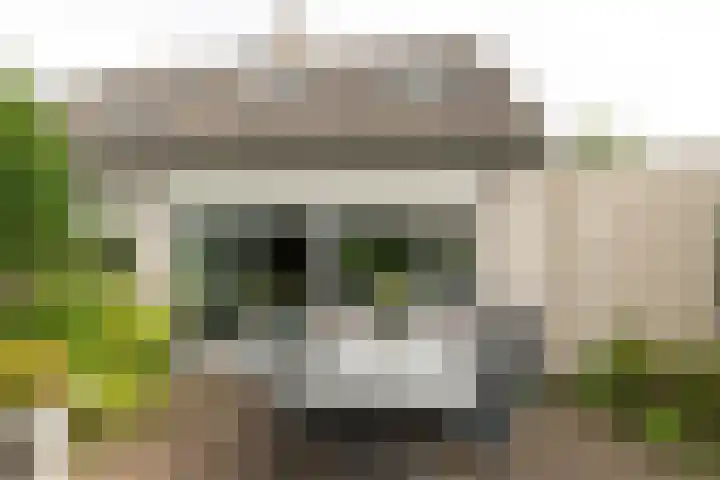 Helderoord 1 Kortenhoef thumbnail 29