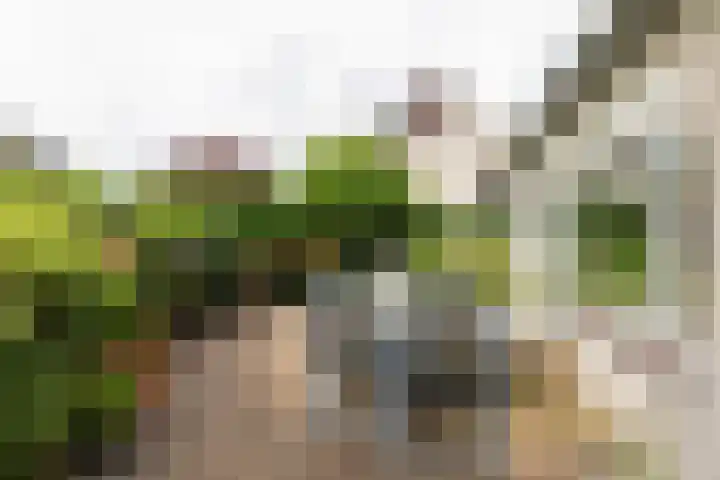 Helderoord 1 Kortenhoef thumbnail 30