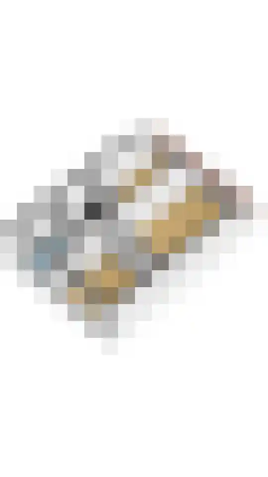 Helderoord 1 Kortenhoef thumbnail 37