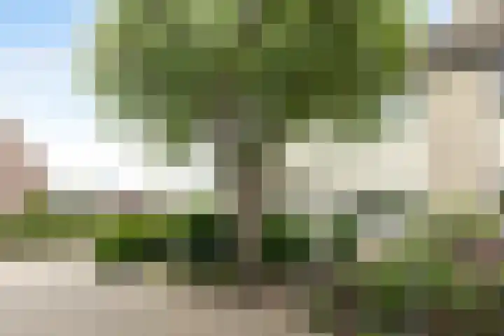 Helderoord 1 Kortenhoef thumbnail 4