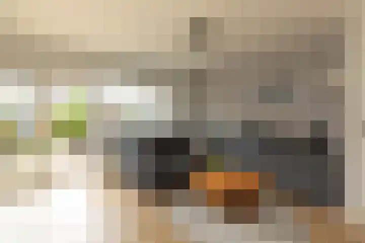 Helderoord 6 Kortenhoef thumbnail 11