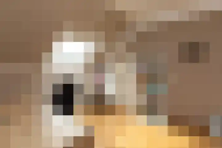 Helderoord 6 Kortenhoef thumbnail 18