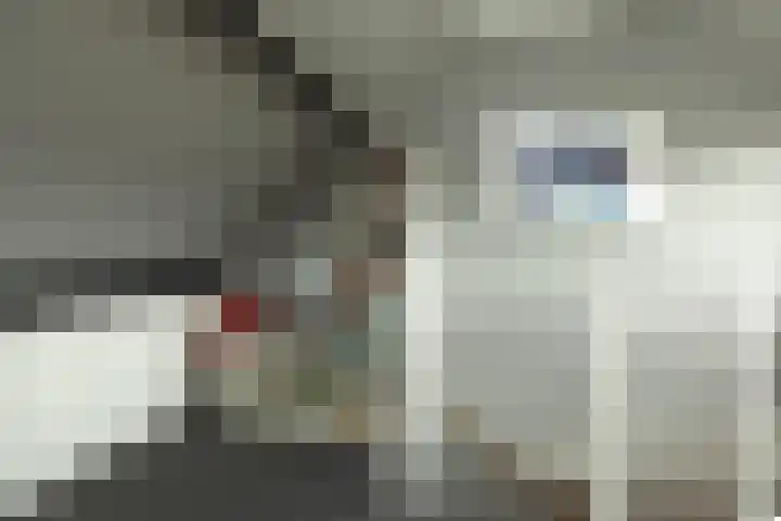 Helderoord 6 Kortenhoef thumbnail 26