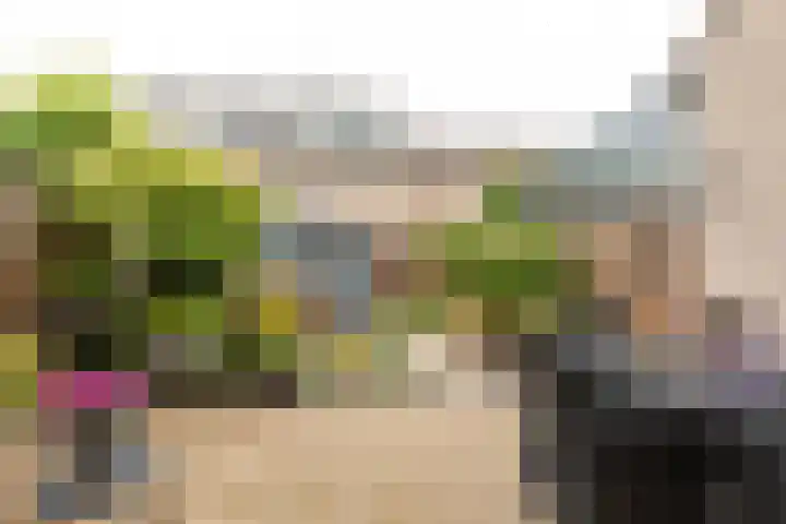 Helderoord 6 Kortenhoef thumbnail 28
