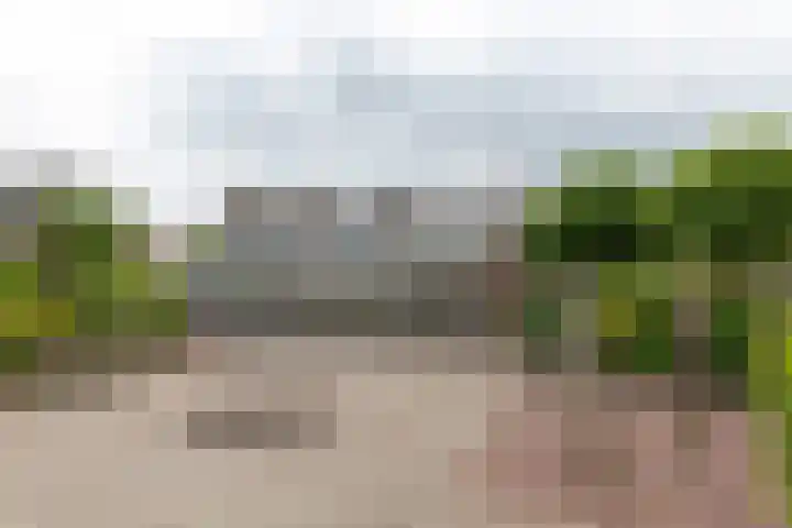 Helderoord 6 Kortenhoef thumbnail 31