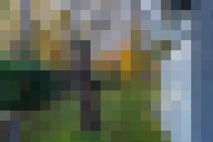 Helderse Duinen 35 Overloon thumbnail 11