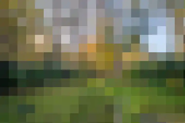 Helderse Duinen 35 Overloon thumbnail 12