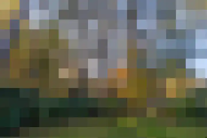 Helderse Duinen 35 Overloon thumbnail 13