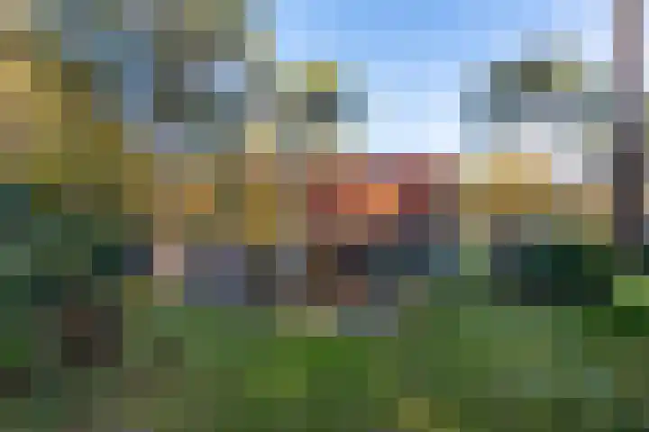 Helderse Duinen 35 Overloon thumbnail 14