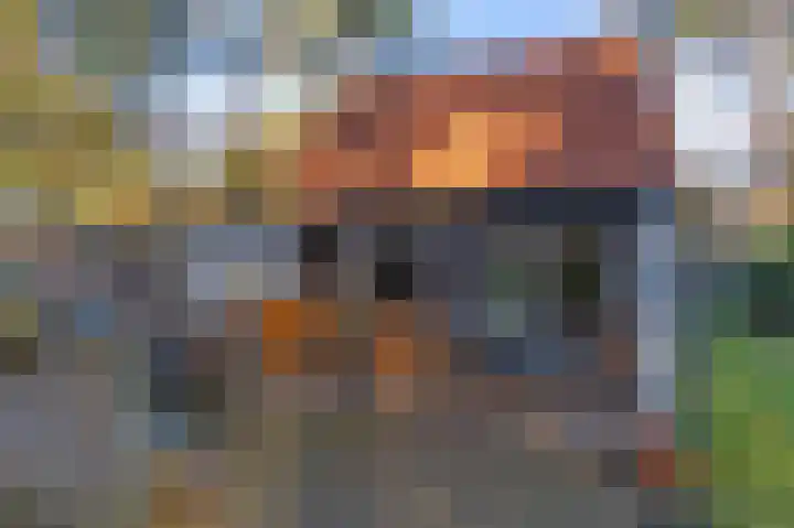 Helderse Duinen 35 Overloon thumbnail 16