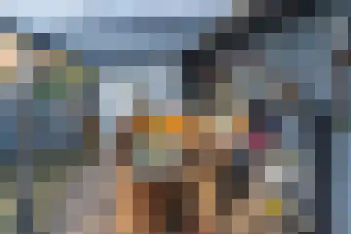 Helderse Duinen 35 Overloon thumbnail 17