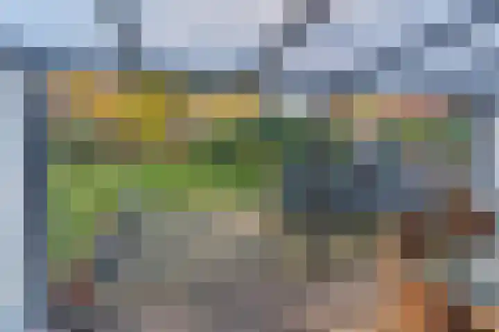 Helderse Duinen 35 Overloon thumbnail 18