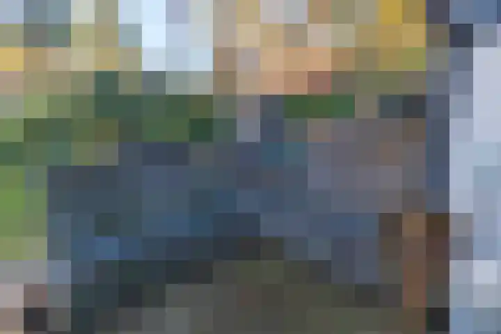 Helderse Duinen 35 Overloon thumbnail 19