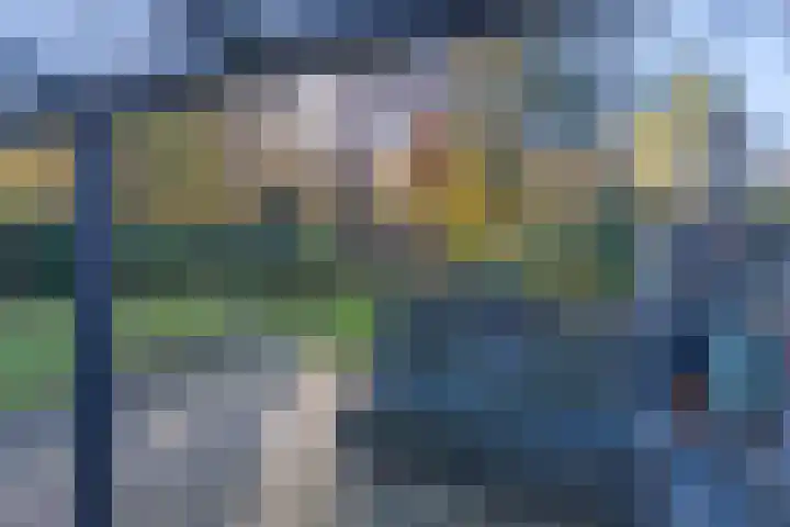 Helderse Duinen 35 Overloon thumbnail 20
