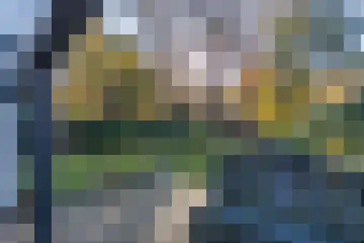 Helderse Duinen 35 Overloon thumbnail 21