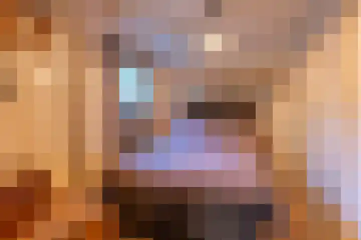 Helderse Duinen 35 Overloon thumbnail 30