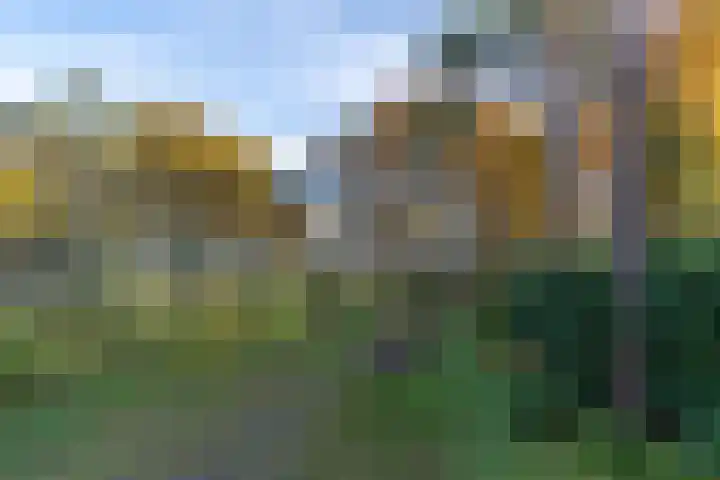 Helderse Duinen 35 Overloon thumbnail 4