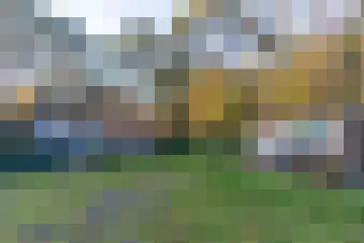 Helderse Duinen 35 Overloon thumbnail 5