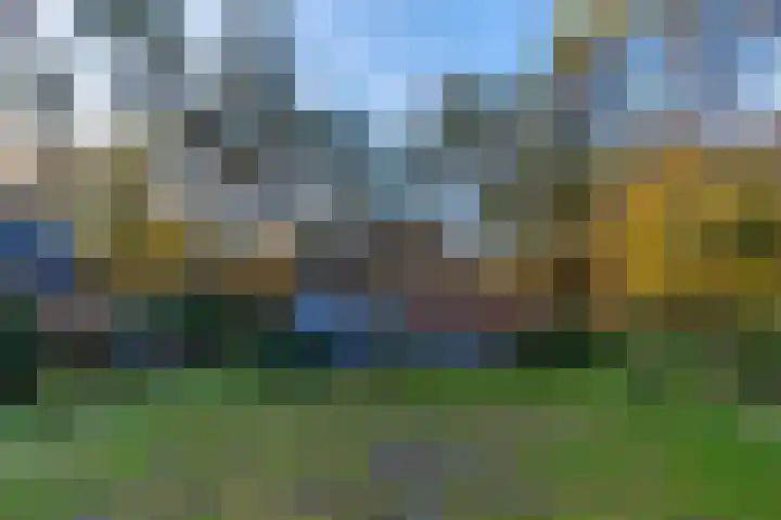 Helderse Duinen 35 Overloon thumbnail 6