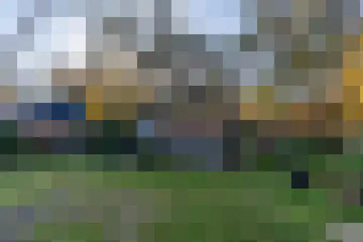 Helderse Duinen 35 Overloon thumbnail 7