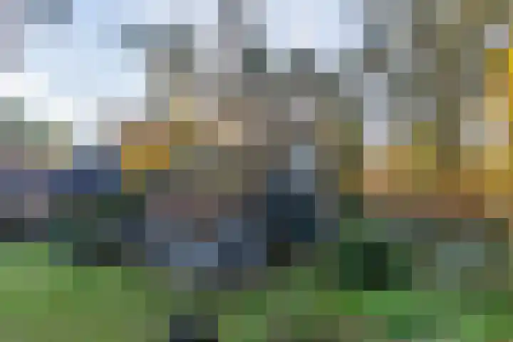 Helderse Duinen 35 Overloon thumbnail 8
