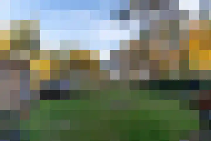 Helderse Duinen 35 Overloon thumbnail 9
