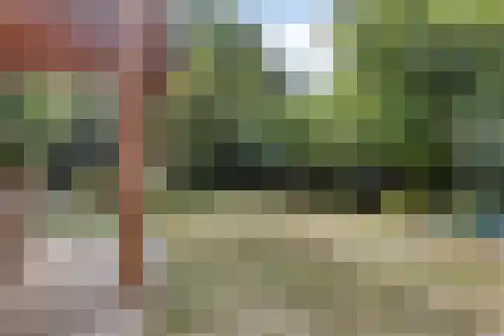 Helderse Duinen 77 Overloon thumbnail 19