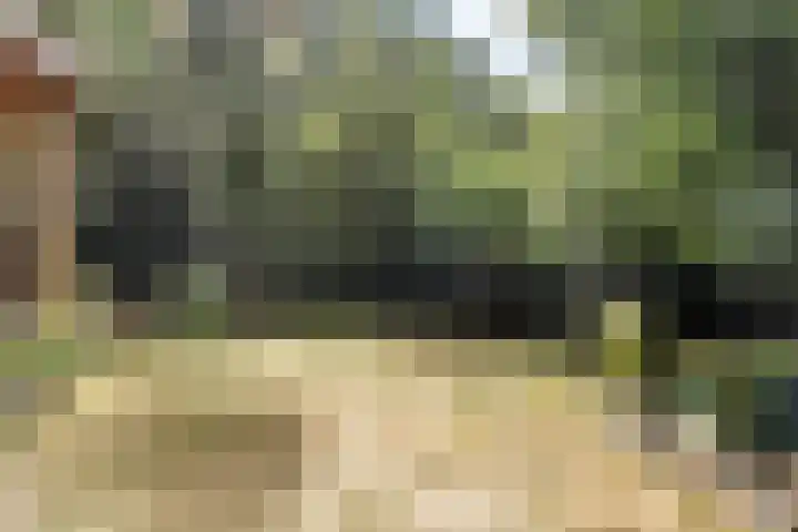Helderse Duinen 77 Overloon thumbnail 20