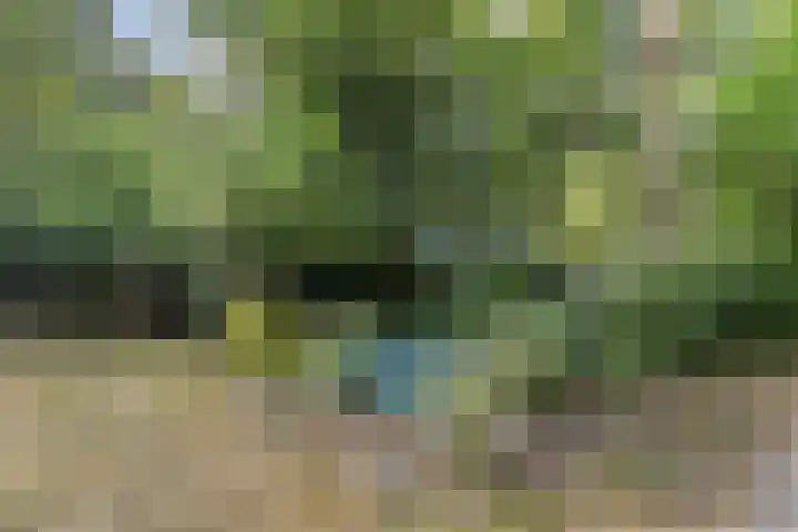 Helderse Duinen 77 Overloon thumbnail 21