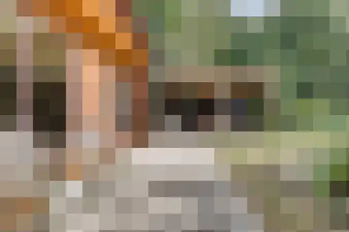 Helderse Duinen 77 Overloon thumbnail 22