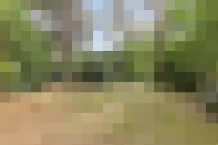 Helderse Duinen 77 Overloon thumbnail 25