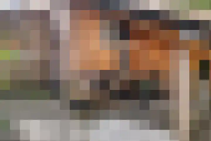 Helderse Duinen 77 Overloon thumbnail 4