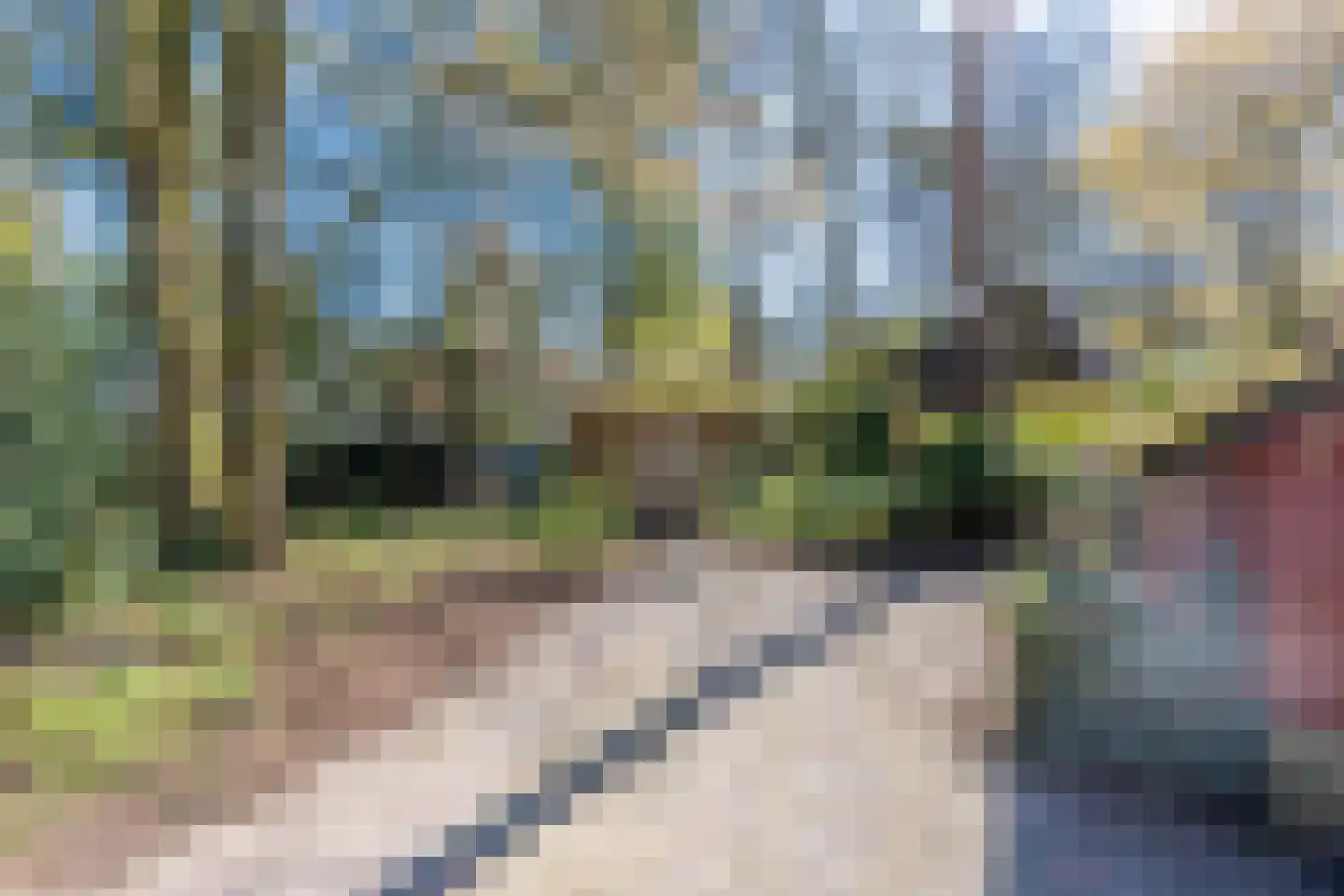 Helderse Duinen 9 Overloon thumbnail 10